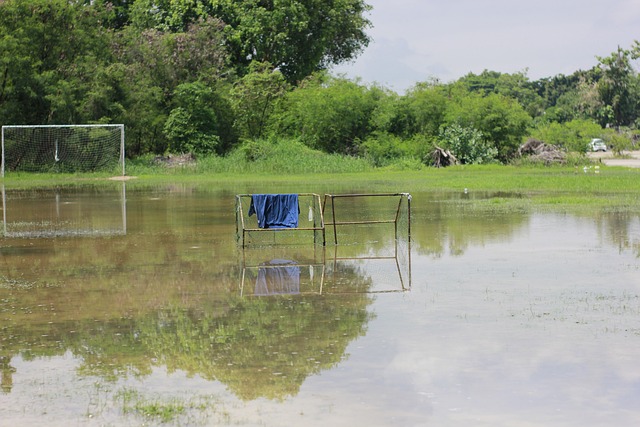巴西俱乐部连续7年赢得解放者杯，追平阿根廷俱乐部25次夺冠